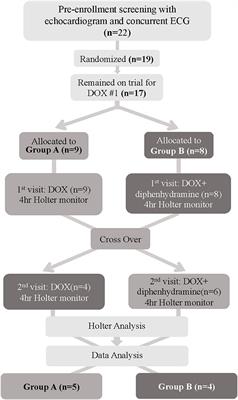 Intramuscular Diphenhydramine Does Not Affect Acute Doxorubicin Infusion-Related Arrhythmia Number or Severity in a Prospective Crossover Study in Canine Lymphoma: A Pilot Study